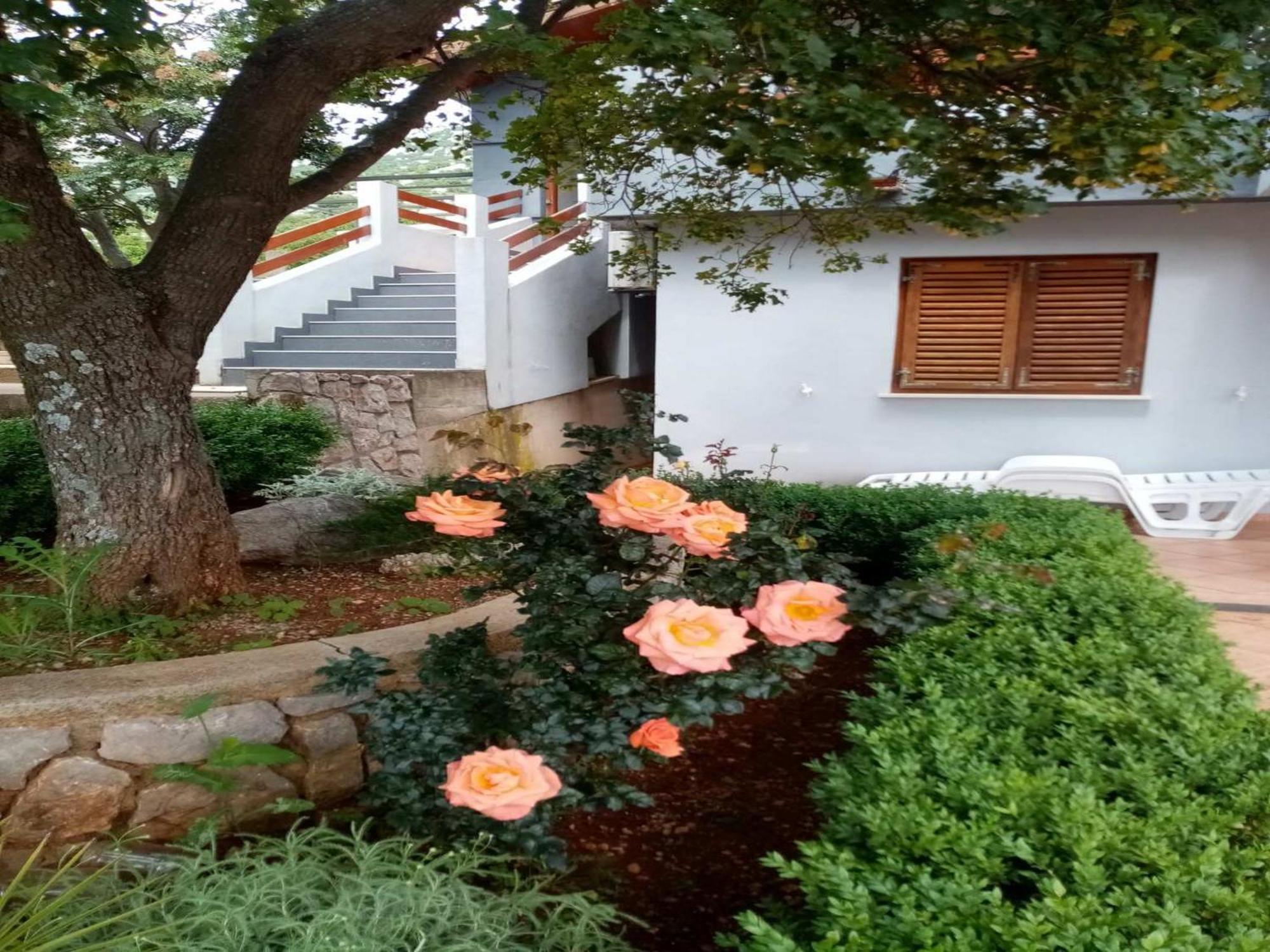 Apartments Paola Karlobag Bilik gambar