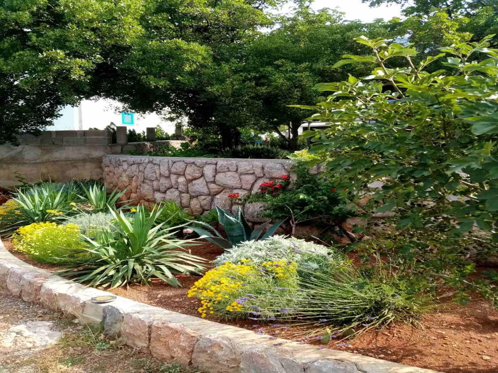 Apartments Paola Karlobag Bilik gambar